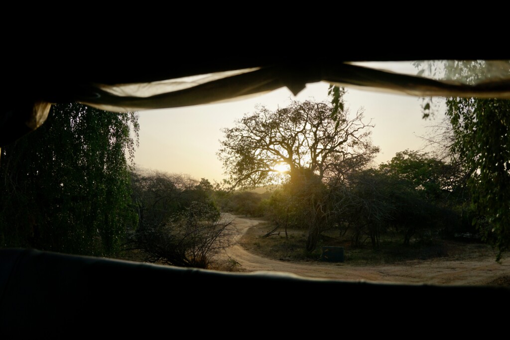 yala sri lanka