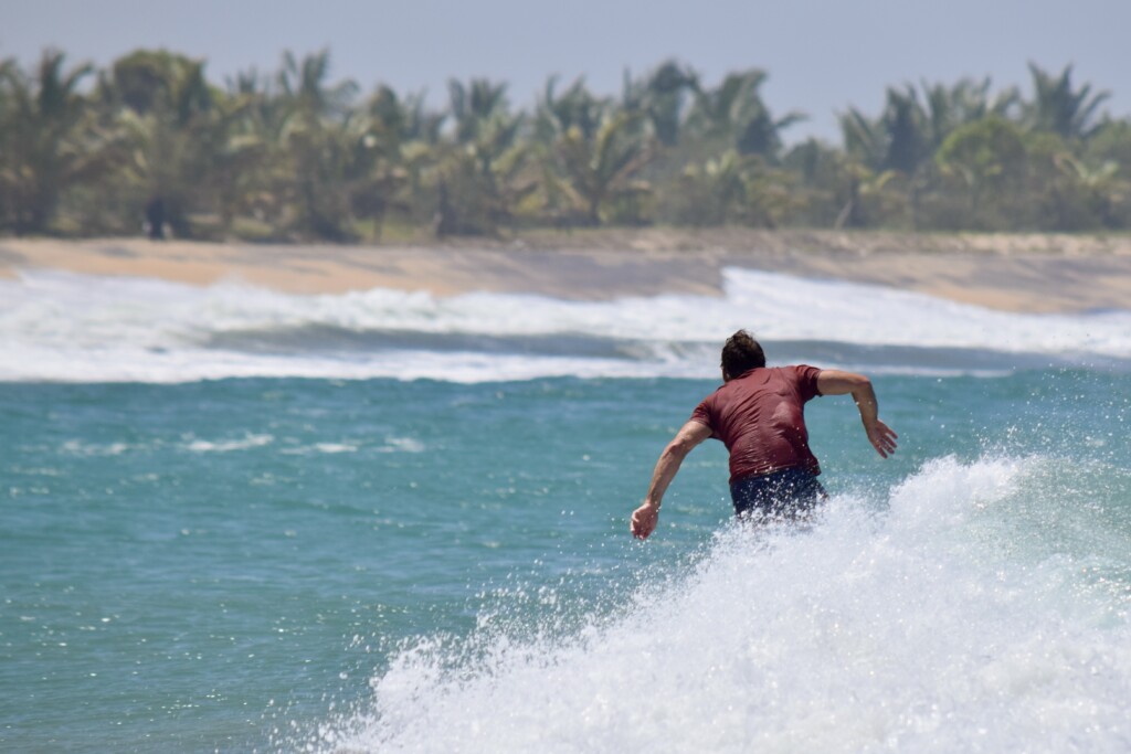 elephant rock surf